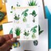 Plant stickers, plant planner stickers
