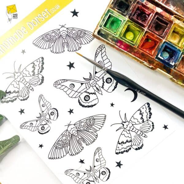 Large colour in moth sticker sheet, moth stickers