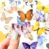 Butterfly stickers, mixed pack of butterfly stickers