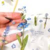 Forget me nots flower stickers, tiny blue flowers